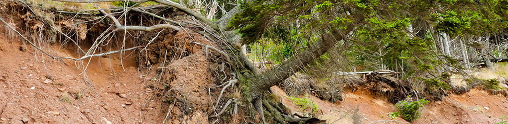 a mudslide in california