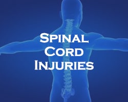 Spinal Cord Injuries - blue over an image of a person's spine