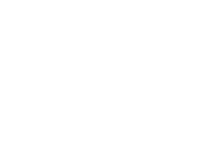 shelter to soldier logo